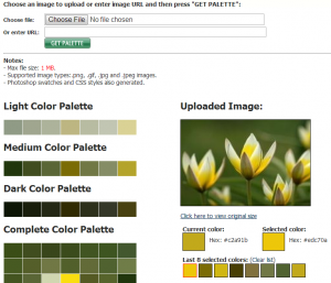 Color Palette Generator Color Palette Generator