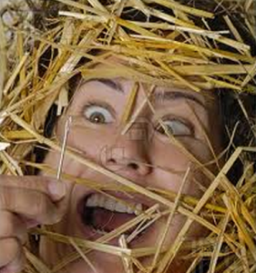needle_in_a_haystack