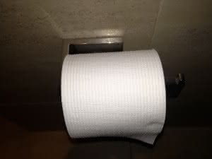 toilet roll on toilet paper holder