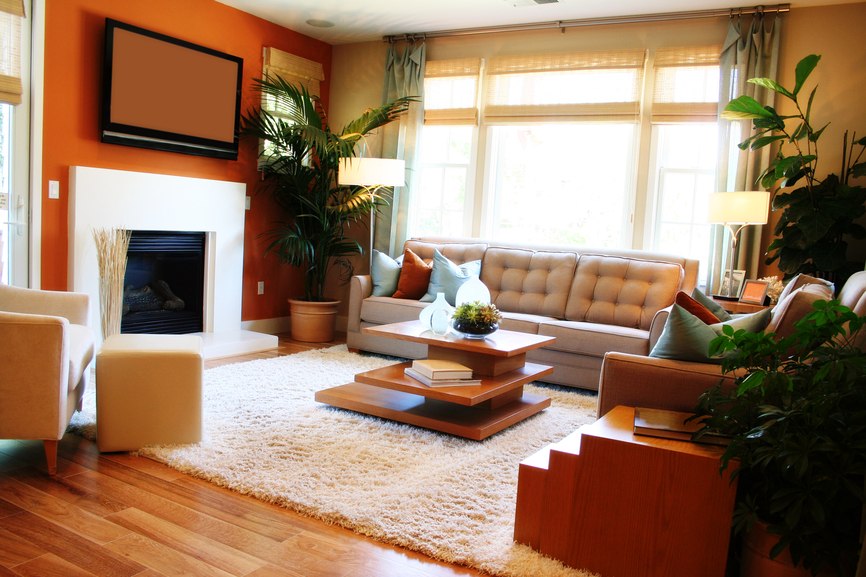 Cozy living room