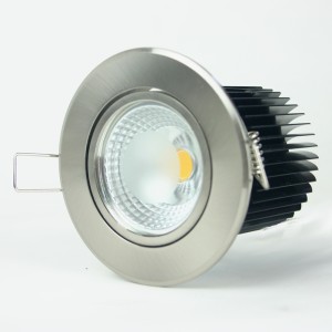Citizen light