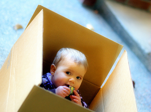 moving home 2