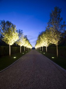 Lighted pathway