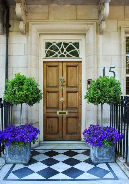 home_entrance_pot_plant