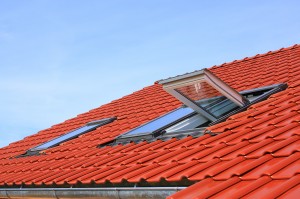 Roof tiles and window