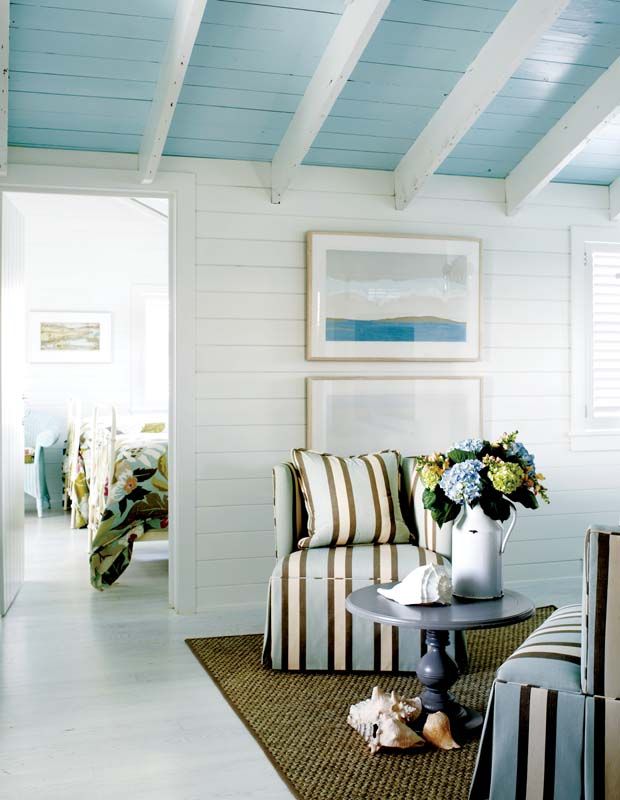 Ceiling_paint_interior_design
