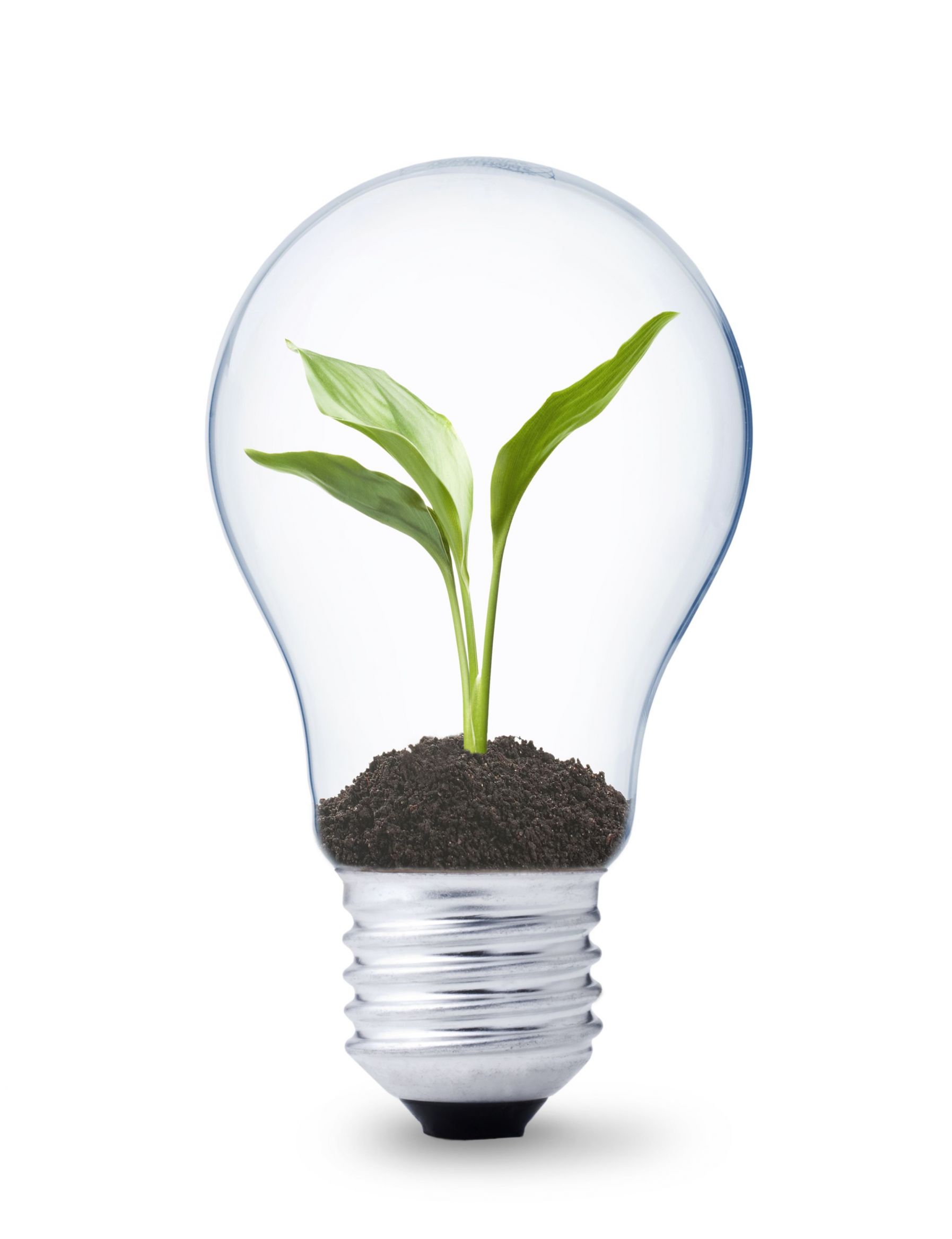 LED_light_colour_choice_renovation