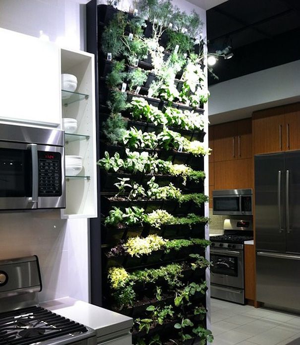 vertical-kitchen-garden-design-interior-partition