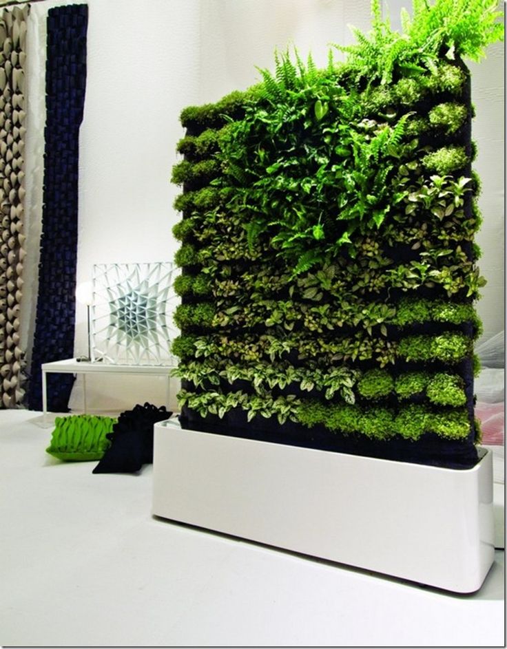plants-vertical-garden-pots-partition-divider-interior-design