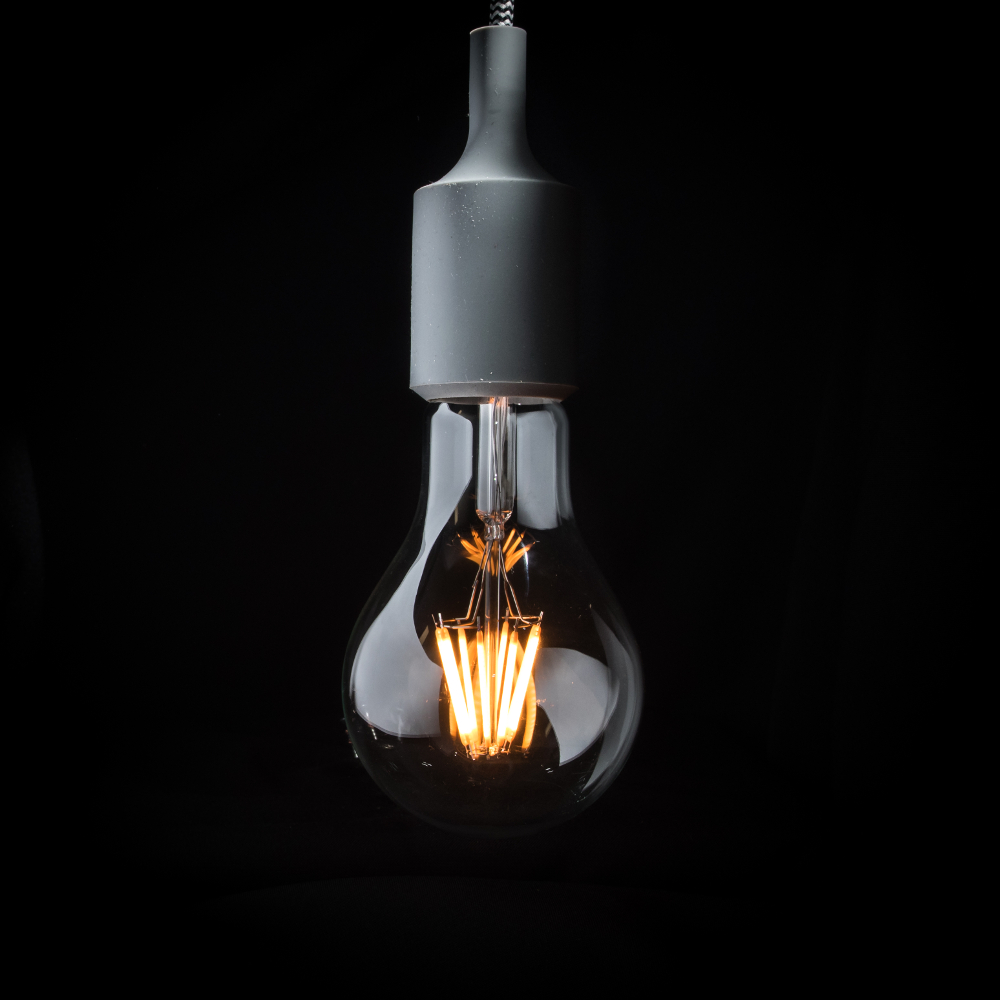 Renovator Store Vintage LED Light Globe