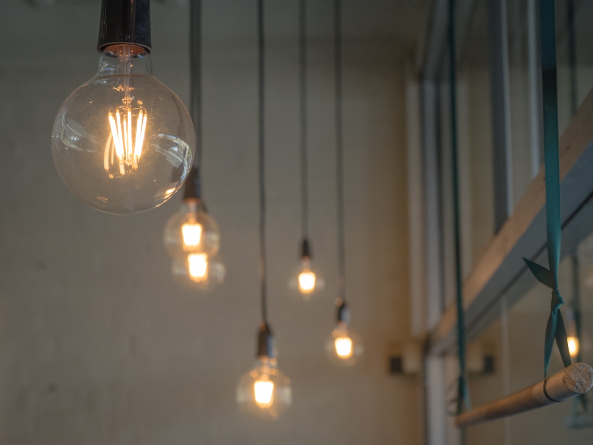 Renovator Store Vintage LED Light Globe