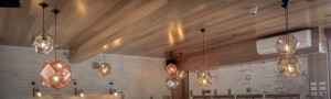 Renovator Store Vintage LED Light Globe