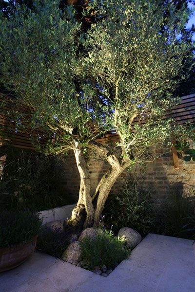 garden lighting inspiration