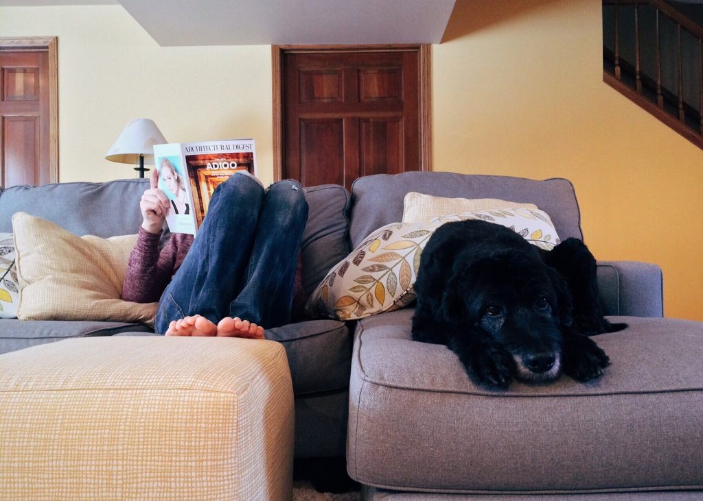 Caro's Decoration Tips for Renters