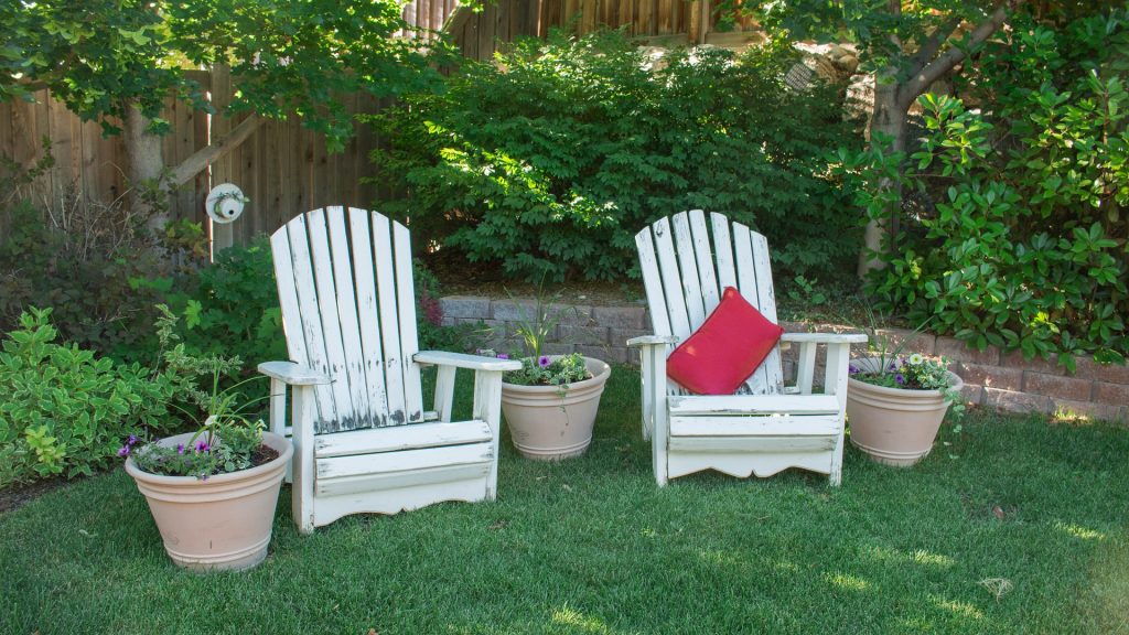 backyard garden