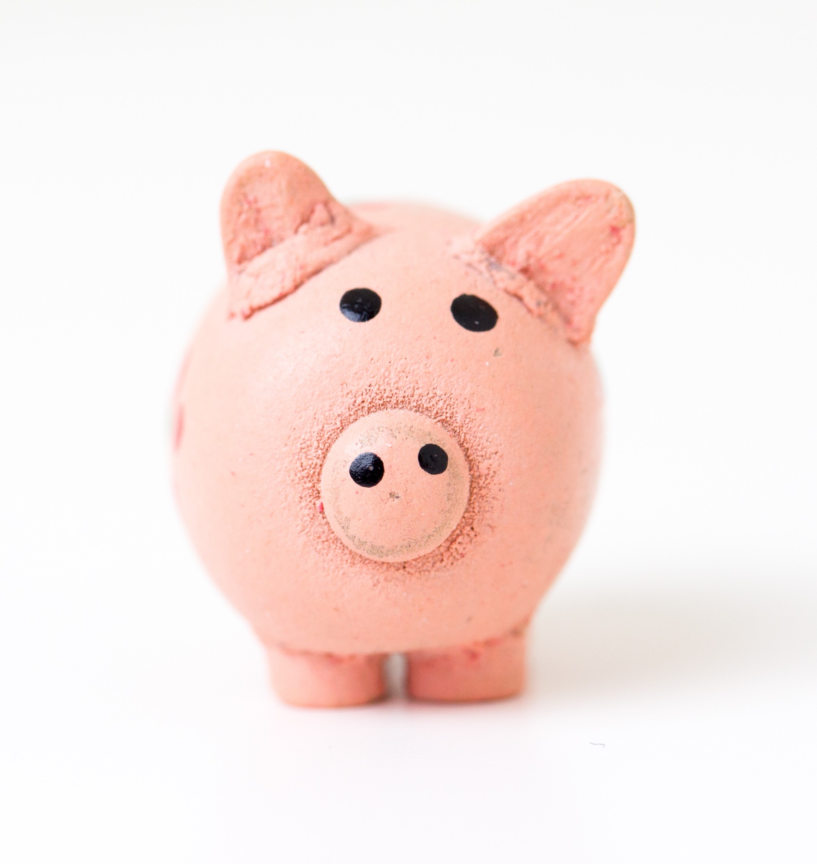 pink piggy bank