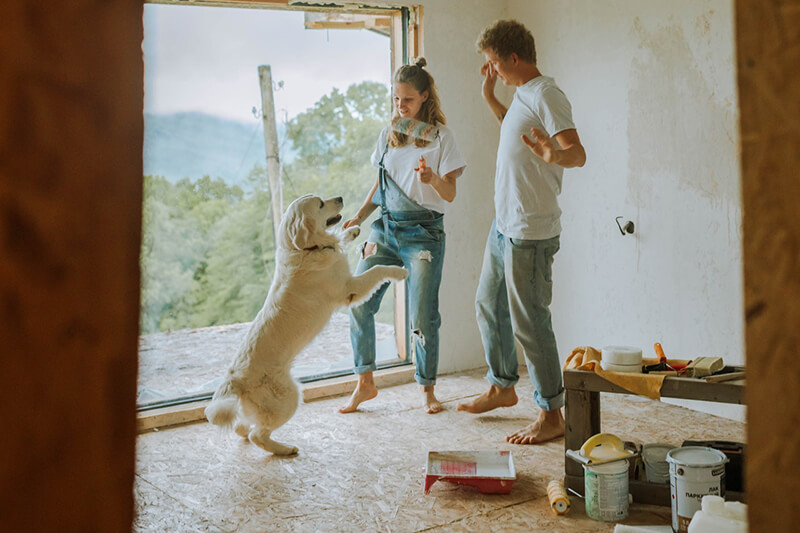 Renovation Fun fun in home renovation